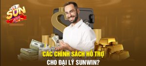 Những lợi ích hấp dẫn mà đại lý của sunwin có được